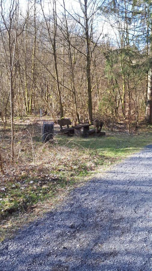 Ferienwohnungen! Kleine Bungalows Mit Terrasse! Stockhausen-Illfurth Eksteriør bilde