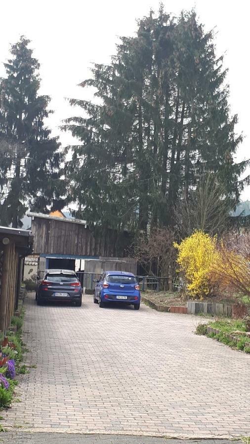 Ferienwohnungen! Kleine Bungalows Mit Terrasse! Stockhausen-Illfurth Eksteriør bilde